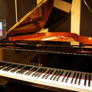 Yamaha Acoustic Grand